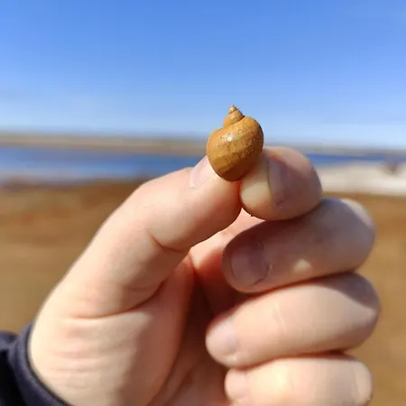 아파트 Marina Mermaid Seaview Hiekkasaerkaet - Uusi Merinaekoealahuoneisto, Sisaeltaeae Liinavaatteet