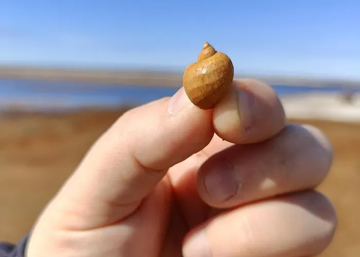 아파트 Marina Mermaid Seaview Hiekkasaerkaet - Uusi Merinaekoealahuoneisto, Sisaeltaeae Liinavaatteet